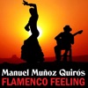 Manuel Munoz Hasta el amanecer Flamenco Feeling