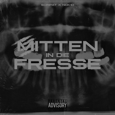 Mitten in die Fresse (feat. Nok1d) - Single