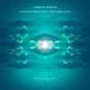 Another Green Mile / Welcome Nepal - Single