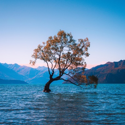 Faith Means Nothing - Single