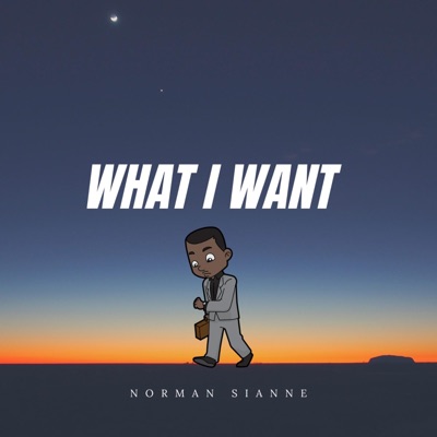 What I Want - Single