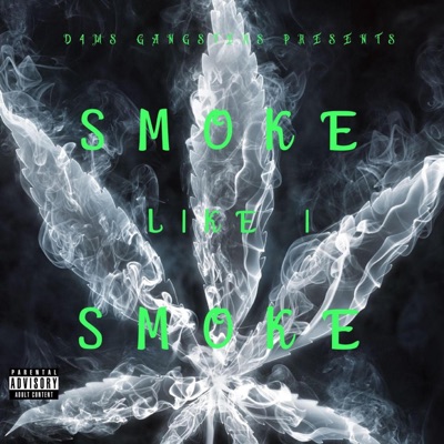 Smoke Like I Smoke - Single