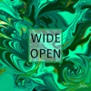 Wide Open (feat. Jay Jules) - Single