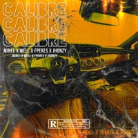 Calibre (feat. Minel) - Single - Well
