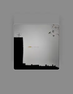 Laraを聴いたり、ミュージックビデオを鑑賞したり、経歴やツアー日程などを確認したりしましょう！