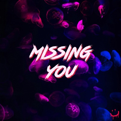 Missing You - Single