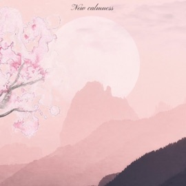 New Calmness .ihaveaface