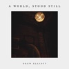 A World, Stood Still - Single