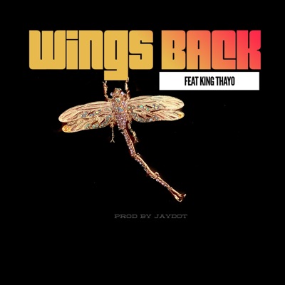 Wings Back (feat. King Thayo) - Single