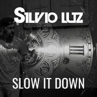 Slow It Down - Single - Silvio Luz