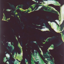 You Make Me Feel Jhove