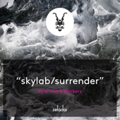 Surrender - D-Nox & Beckers, D-Nox & Beckers