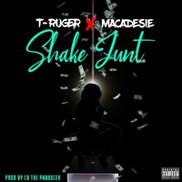 Shake Junt (feat. T-Ruger) - Single - Macadesie