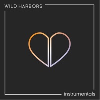 Abigail (Instrumental) - Single - Wild Harbors