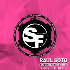 Forbidden Love (Harry Soto Remix) - Single