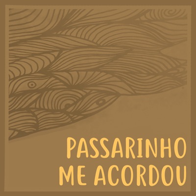 Passarinho Me Acordou - Single