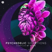 Psychedelic Selections, Vol. 003 (Compiled by Ritmo) artwork