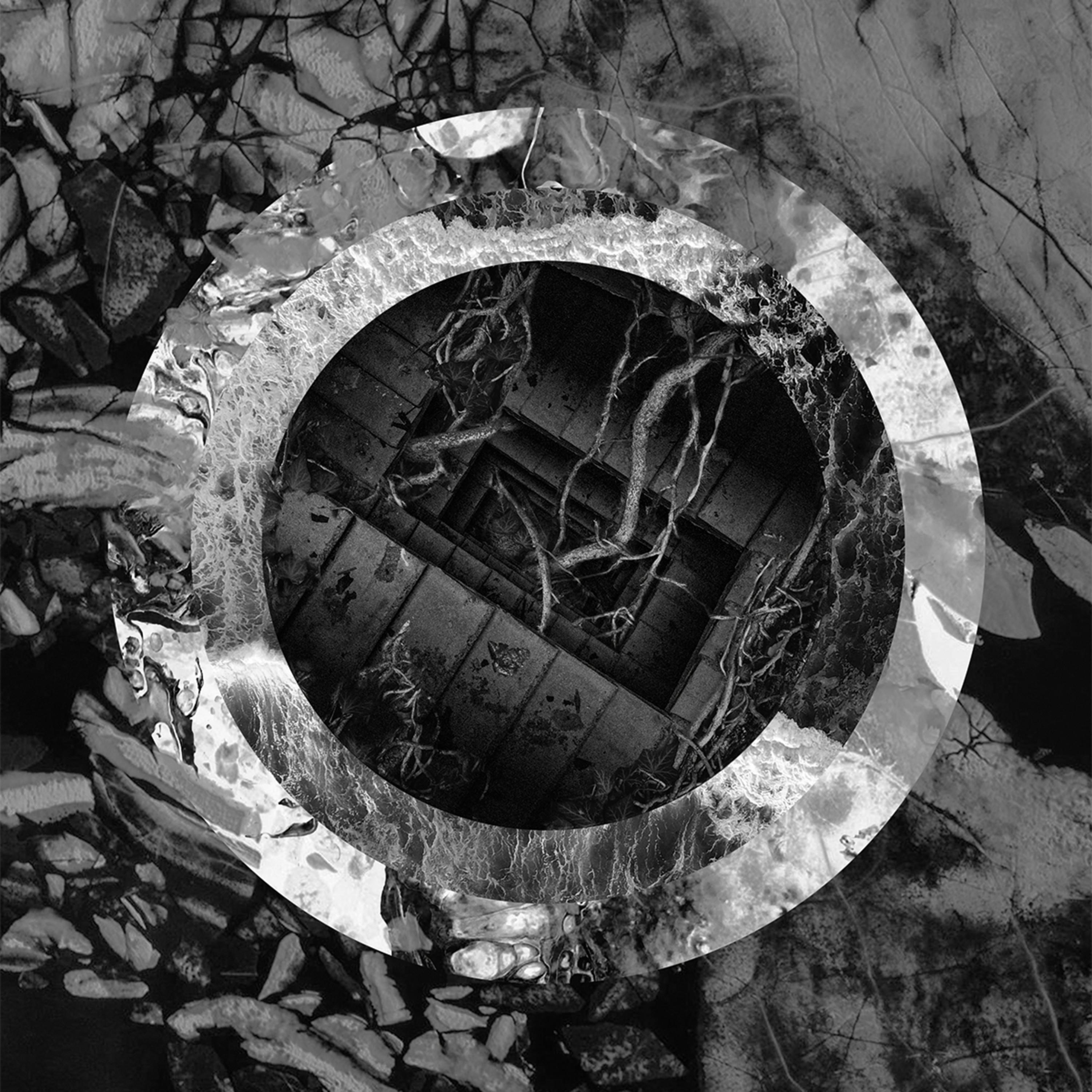 Rhetoric of the Image