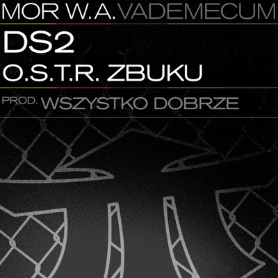 DS2 - Single