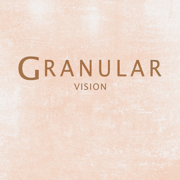 Vision