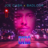 Dim (feat. Badlook) - Single - Joe Cash