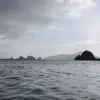 The Past Disappears