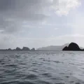 The Past Disappears