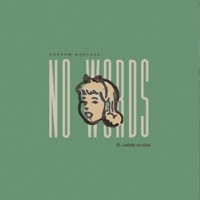 No Words (feat. Caleb Cruise) - Single - Andrew Narvaez