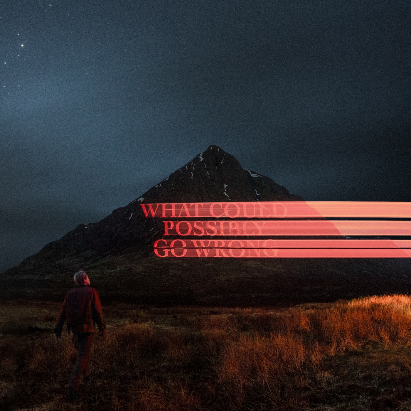 What Could Possibly Go Wrong by Dominic Fike