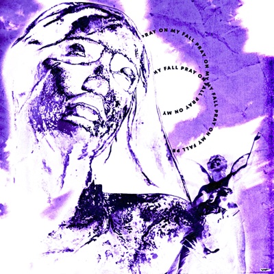 Pray on My Fall - Single