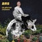 До дрожи - BRS lyrics