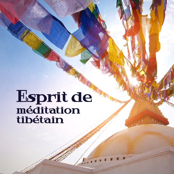 Esprit de méditation tibétain: Matin spirituel, Méditation, Mantra, Yoga, Chakra de guérison, Spa, Bien-être