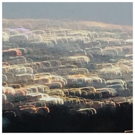 Sleep Paralysis Fona & Styn