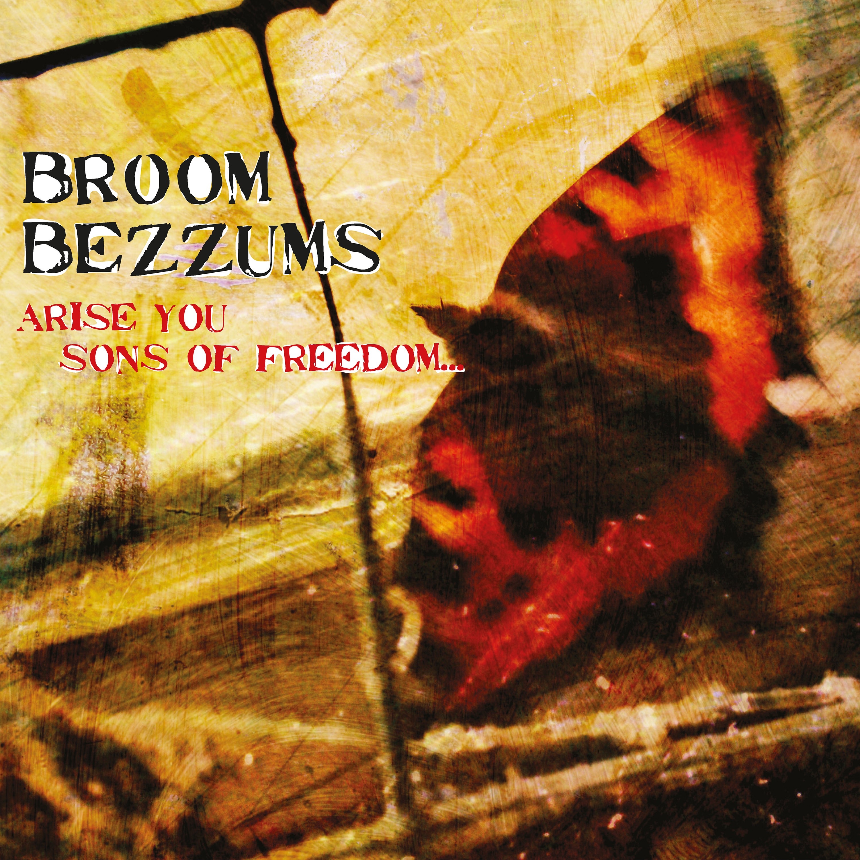 Arise You Sons of Freedom