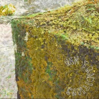 New Traditions - Single - MioWnize