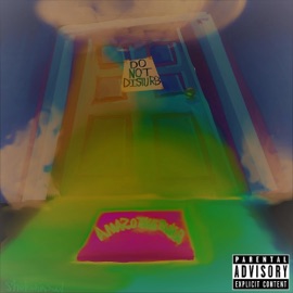 Do Not Disturb AMAZOTHERULER