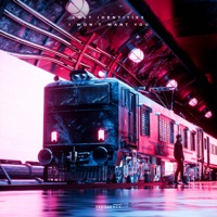 I Won't Want You - Single - Lost Identities