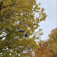 Fly Away (Demo) - Single - Gordon Snyder