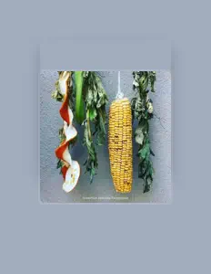 Poslechněte si interpreta Sebastián Aracena Valenzuela, sledujte hudební videa, přečtěte si životopis, podívejte se na data turné a další informace.