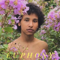 Euphony - Xavier G