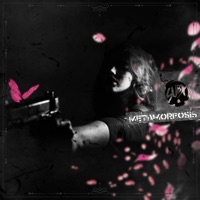 Almas - Single - Subx