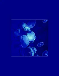 Ouça Billi the Kid, assista a videoclipes, leia a biografia, veja as datas das turnês e mais!