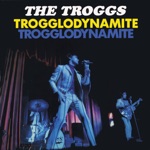 The Troggs - It's Too Late