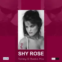 You Are My Desire (Toney D Elegant Radio Mix) — Shy Rose