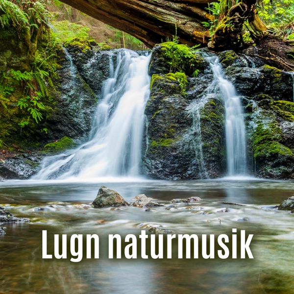 Lugn naturmusik: Meditation, Sömn, Avkoppling