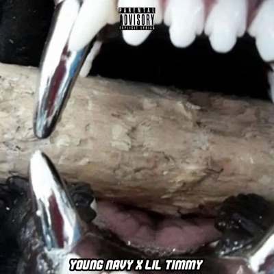 Come over hea (feat. Lil Timmy) - Single