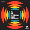 The New Mastersounds - Permission to Land (feat. Jeff Franca & Jason Mingledorff)