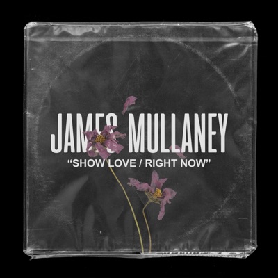 Show Love/Right Now - Single