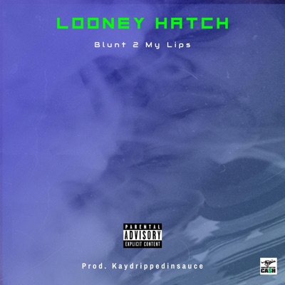 Blunt 2 My Lip (feat. Kaydrippedinsauce) - Single