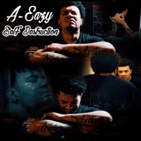Self Destruction - Single - A-Eazy